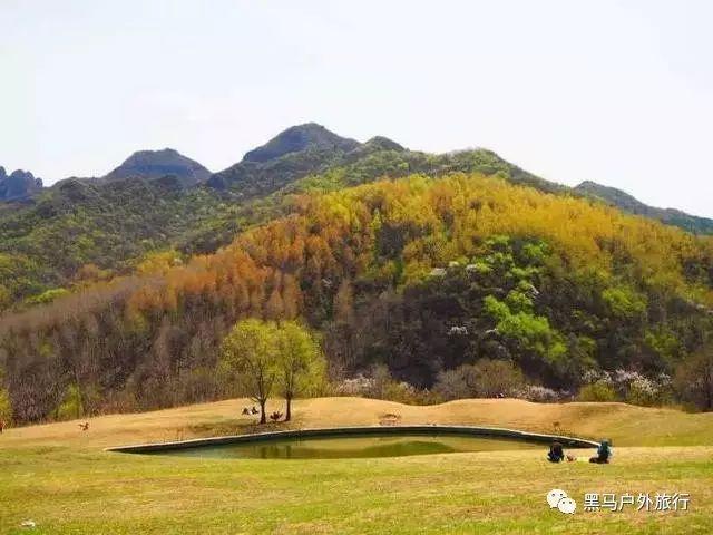 天宝收费所宜丰收费站:为滞留旅客送上“暖心食品”